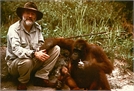 Terry Pratchett's Jungle Quest